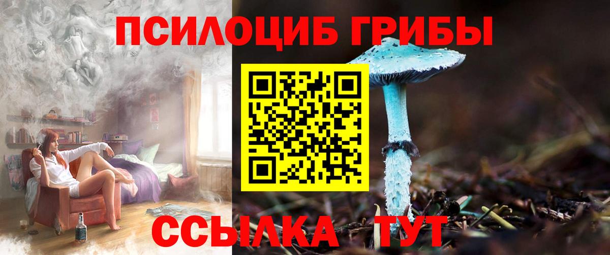 Галлюциногенные грибы Psilocybe  Вход с VPN  где купить наркоту  Серов 